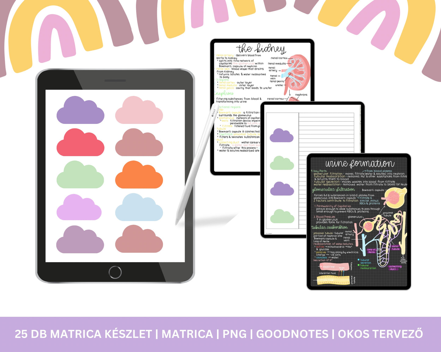 Digitális Szivárvány Matricák | Goodnotes Matrica | Diákmatrica | PNG Digitális Matrica | PNG | Jegyzet lapkészlet |