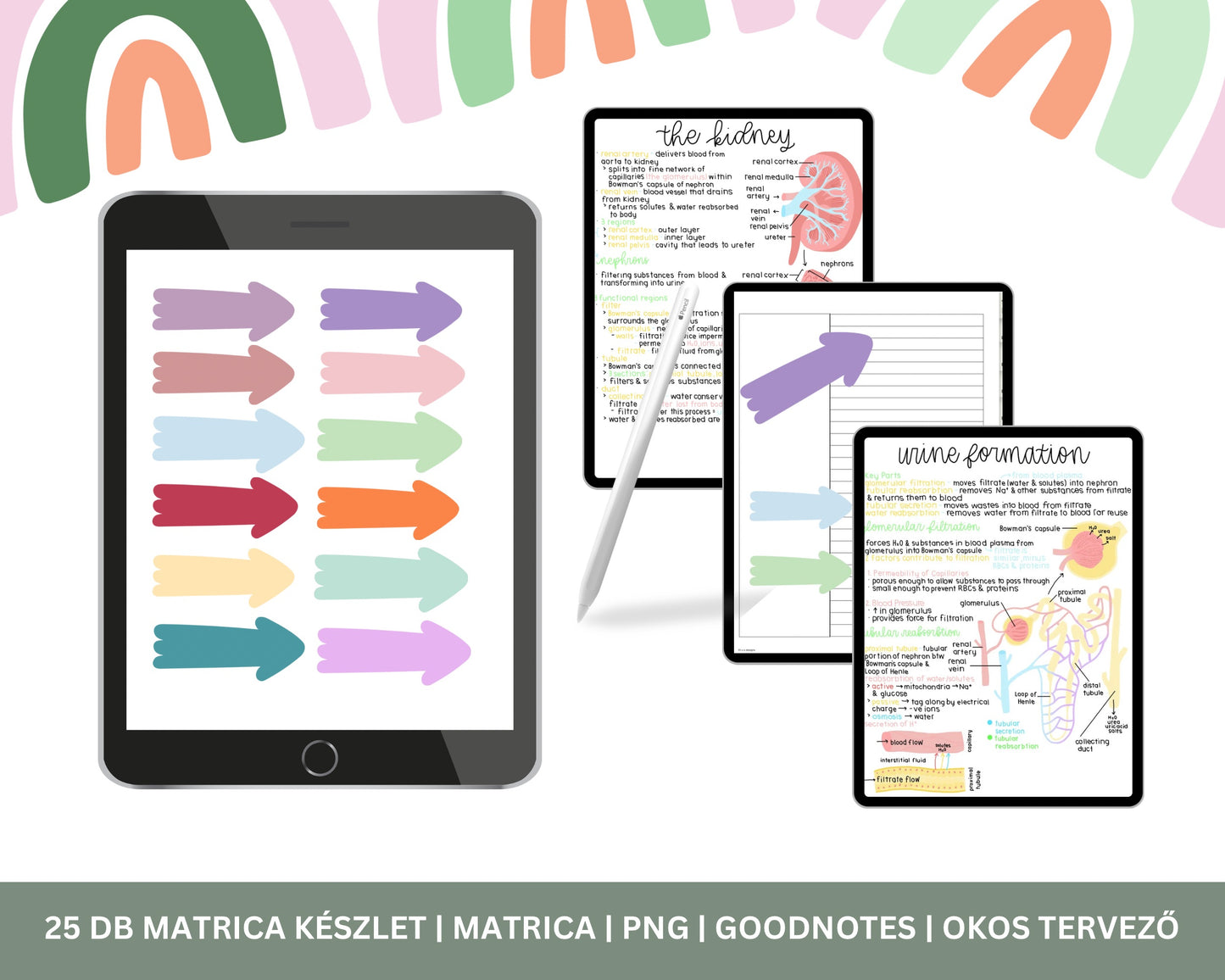 Digitális Szivárvány Matricák | Goodnotes Matrica | Diákmatrica | PNG Digitális Matrica | PNG | Jegyzet lapkészlet |