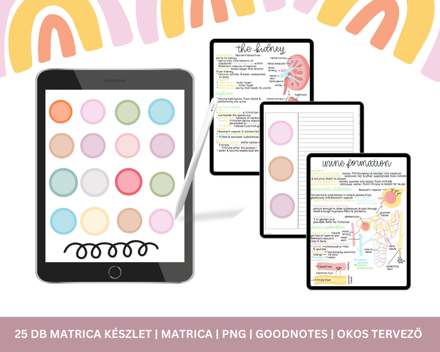 Digitális Szivárvány Matricák | Goodnotes Matrica | Diákmatrica | PNG Digitális Matrica | PNG | Jegyzet lapkészlet |